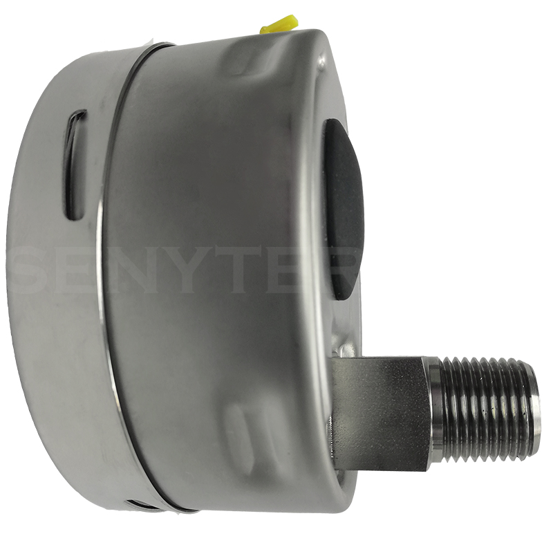 Manómetro TEMPRES Full Inox DN 4.0" Conexión 1/2" NPT M, Posterior en SS316 - Imagen 2