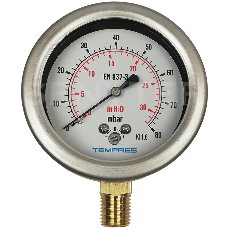 Manómetro TEMPRES para gases DN 2,5" Conexión 1/4" NPT M, Inferior en SS316