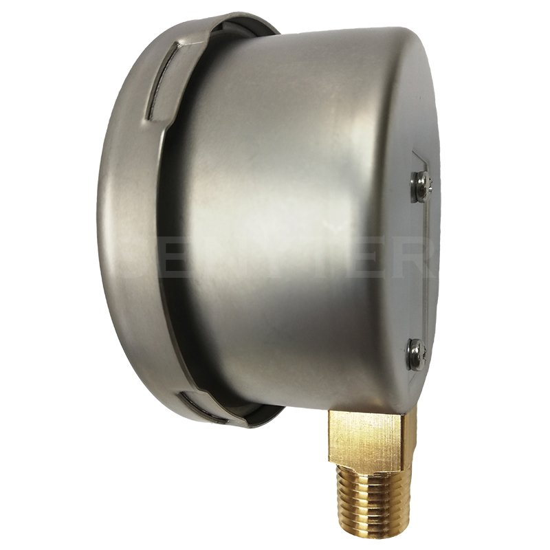 Manómetro TEMPRES para gases DN 2,5" Conexión 1/4" NPT M, Inferior en SS316 - Imagen 2