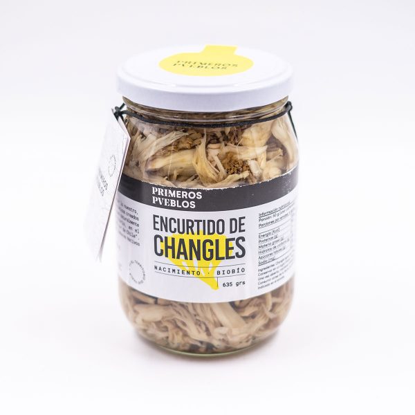 encurtido-changles-5