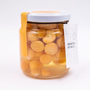 encurtido-diguenes-5