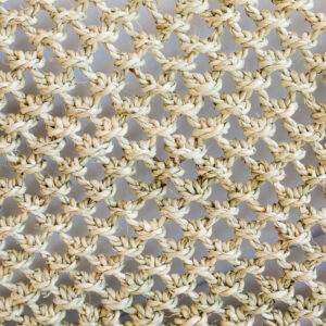 PP Enero fondo color-61