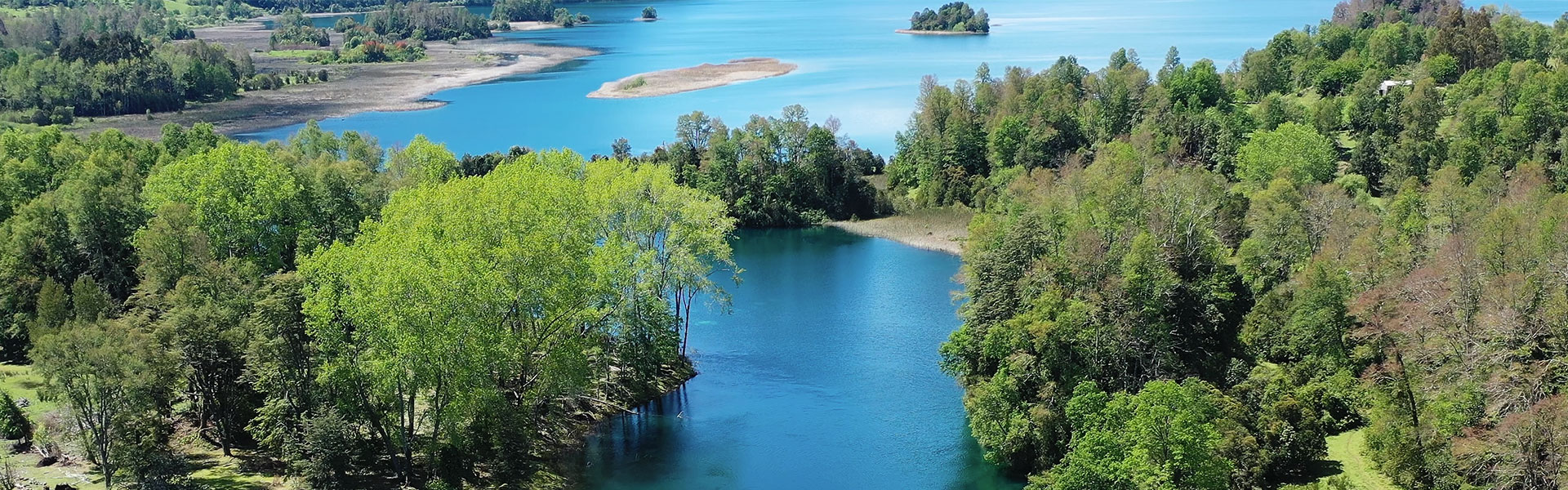 ¡Primeros Pueblos llega a Lago Ranco! Descubre la Creatividad del Sur de Chile en la Feria del Arte y Decoración