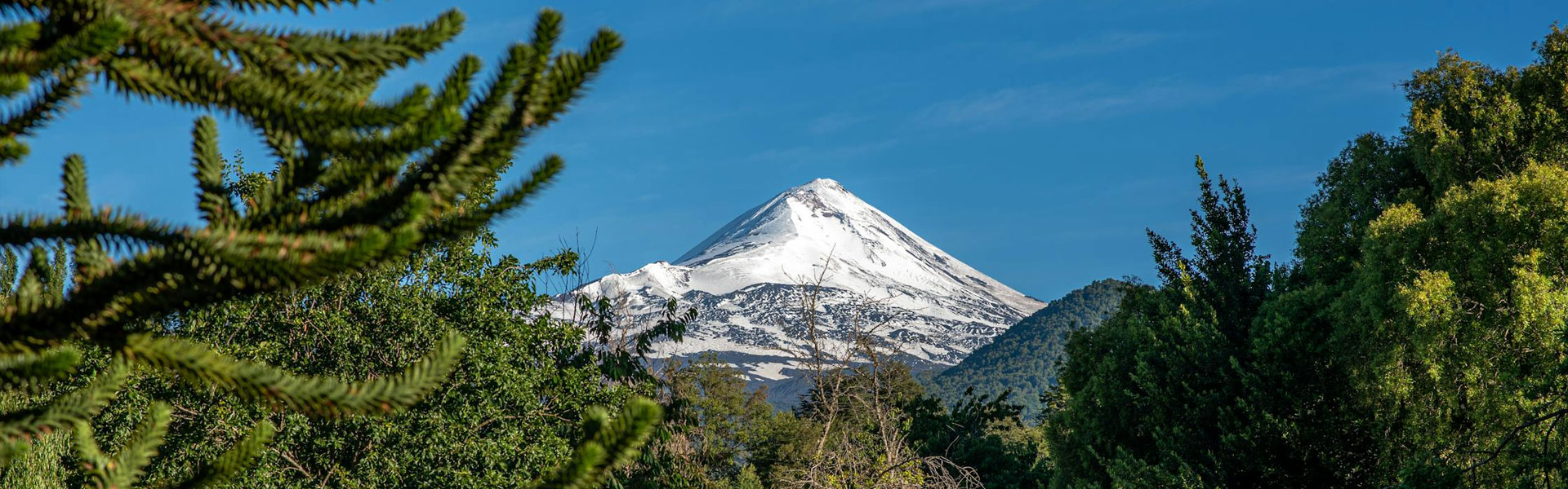 Celebramos We Tripantu: El Año Nuevo Mapuche