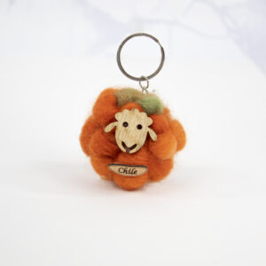 llavero ojeva naranjo