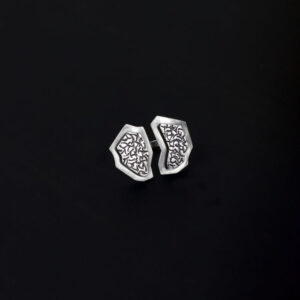 anillo protección 2