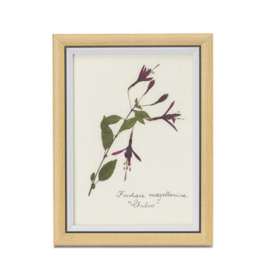 Cuadro flor Chilco mediano