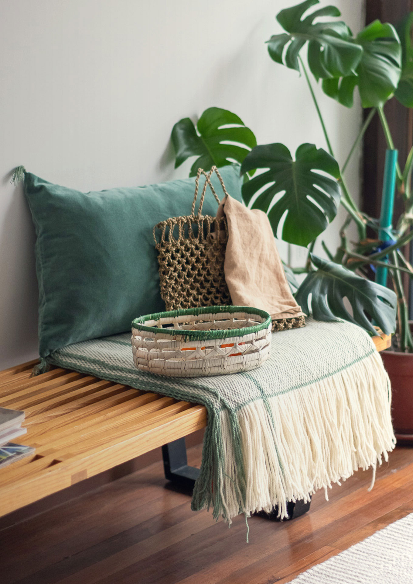 Primavera que da vida a tu hogar