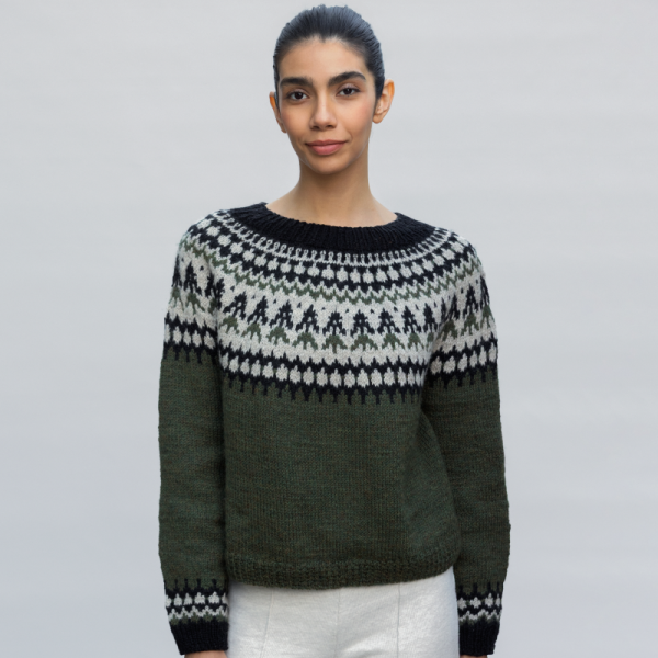Sweater (11)