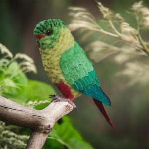 loro fieltro agujado 1