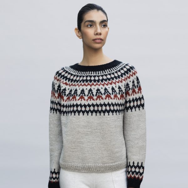 sweater cardigan (1)