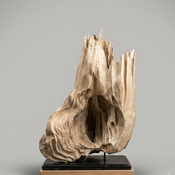 Escultura Nucleo Pitiwe