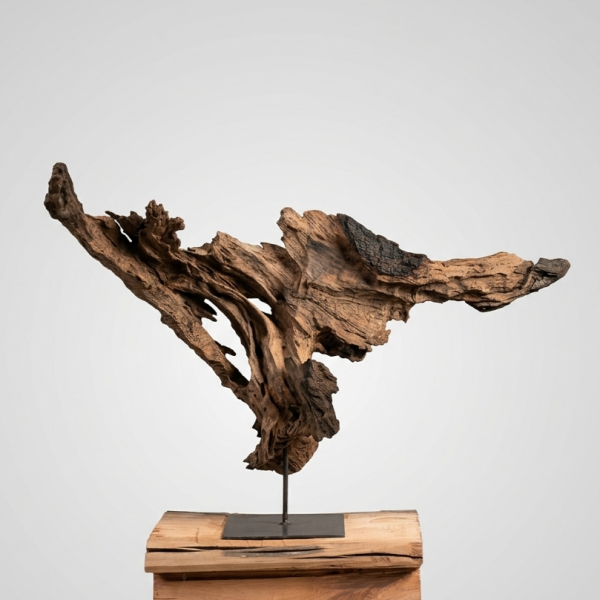 Escultura condor pitiwe